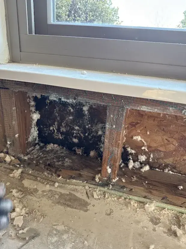 Water damage at a window and sill in a Canyon Country, CA home